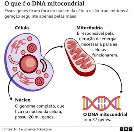 DNA de toda a Humanidade